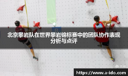 北京攀岩队在世界攀岩锦标赛中的团队协作表现分析与点评