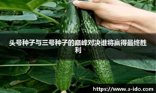 头号种子与三号种子的巅峰对决谁将赢得最终胜利