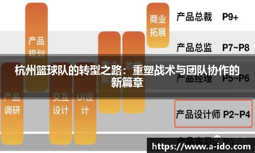 杭州篮球队的转型之路：重塑战术与团队协作的新篇章